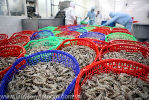 Social responsibility essential to fisheries sector - ảnh 1